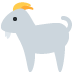:animal (26):